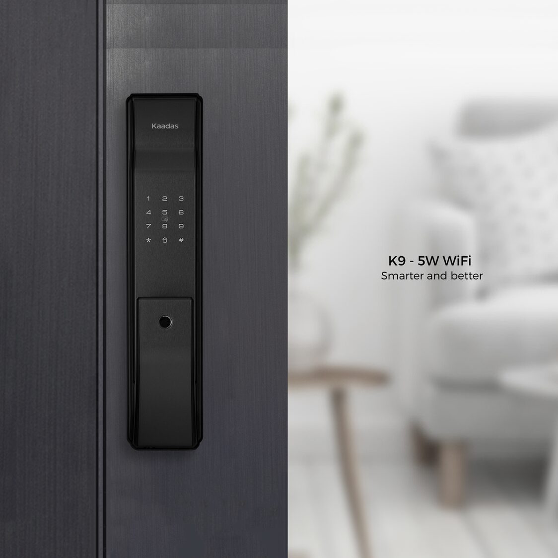 Kaadas K9 - 5W Space Grey + R8GD Lock Bundle