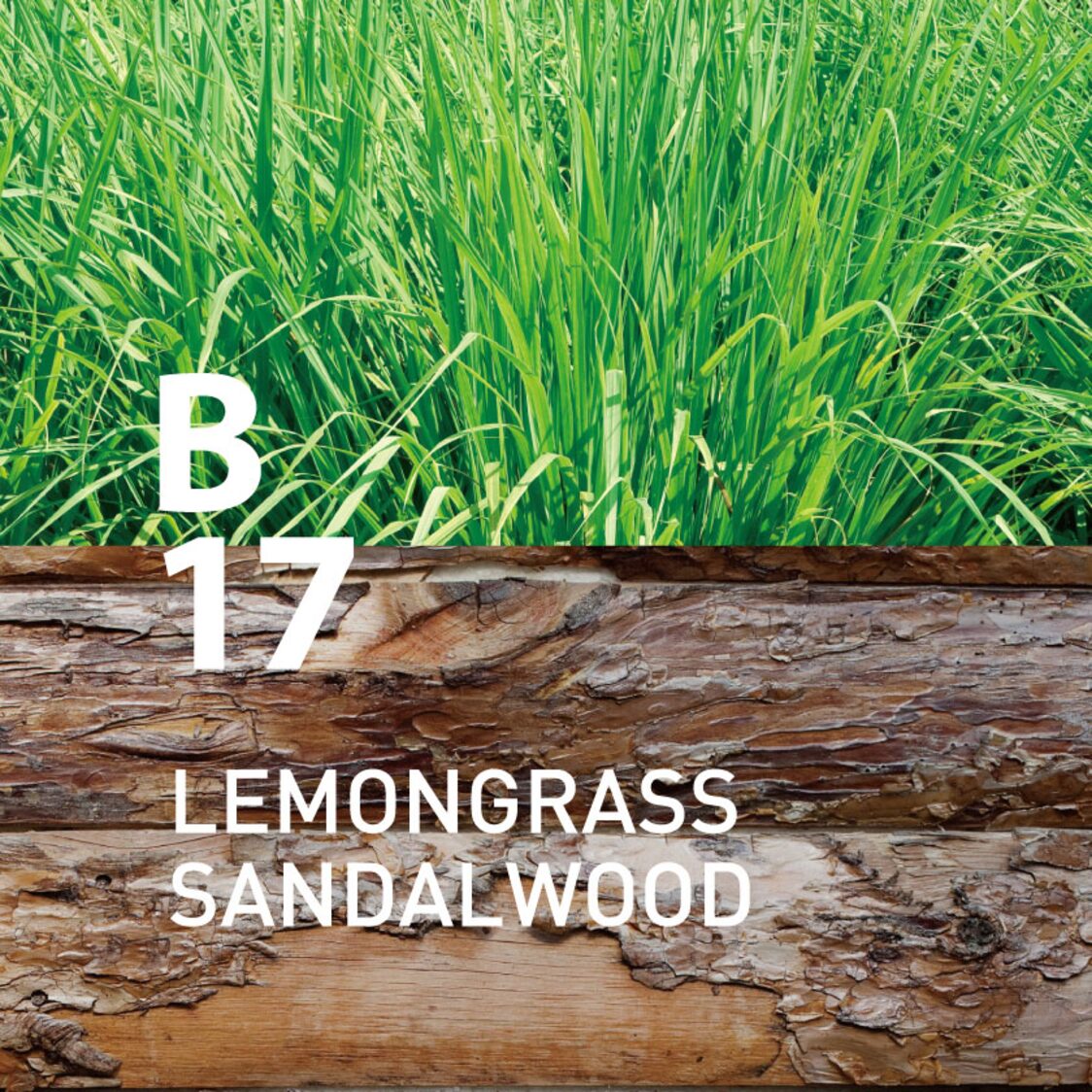 Ataroma B17 Lemongrass Sandalwood