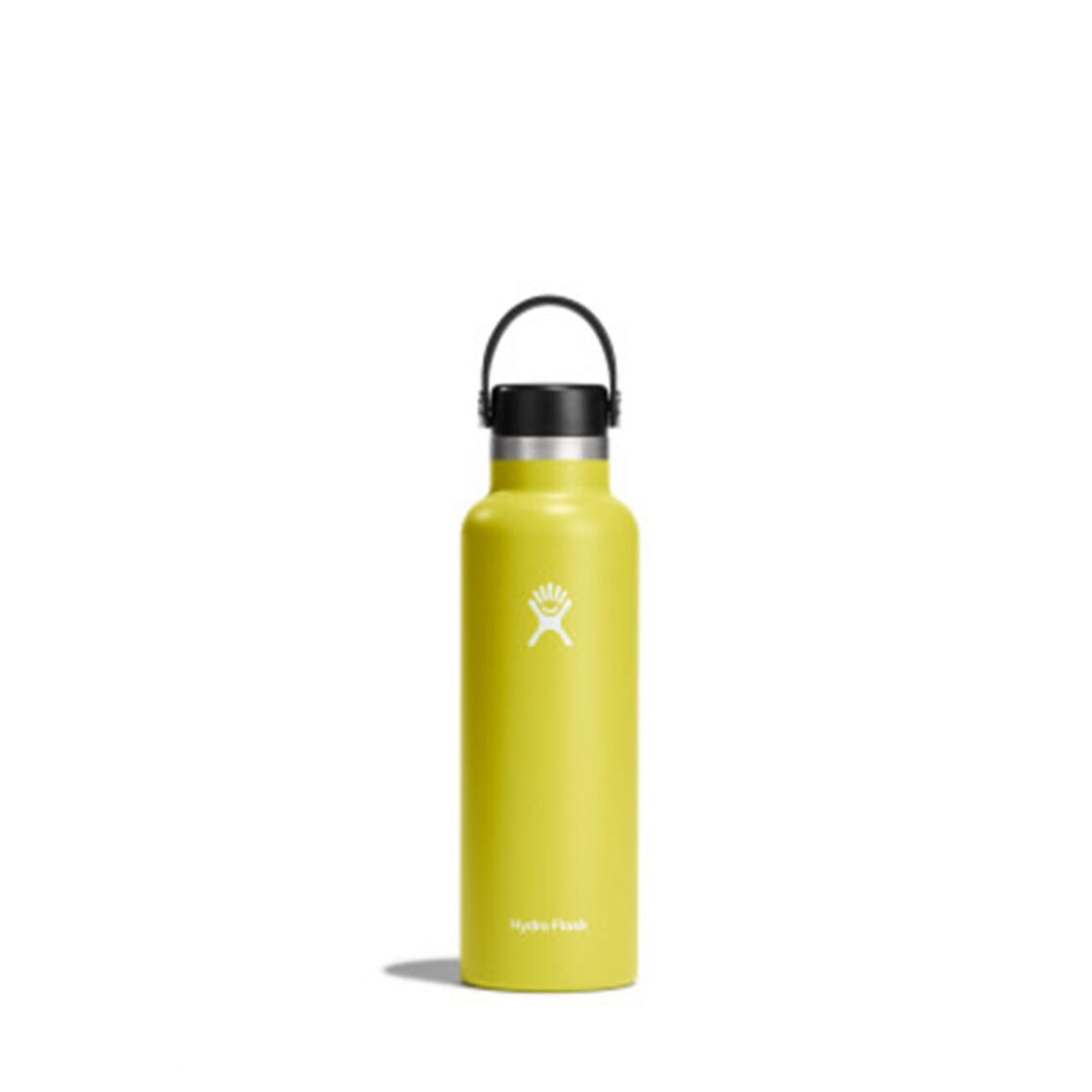 Standard Flex Cap Cactus 21oz/621ml S21SX752