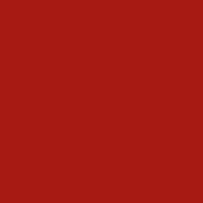 Yves Saint Laurent Rouge Pur Couture the Slim