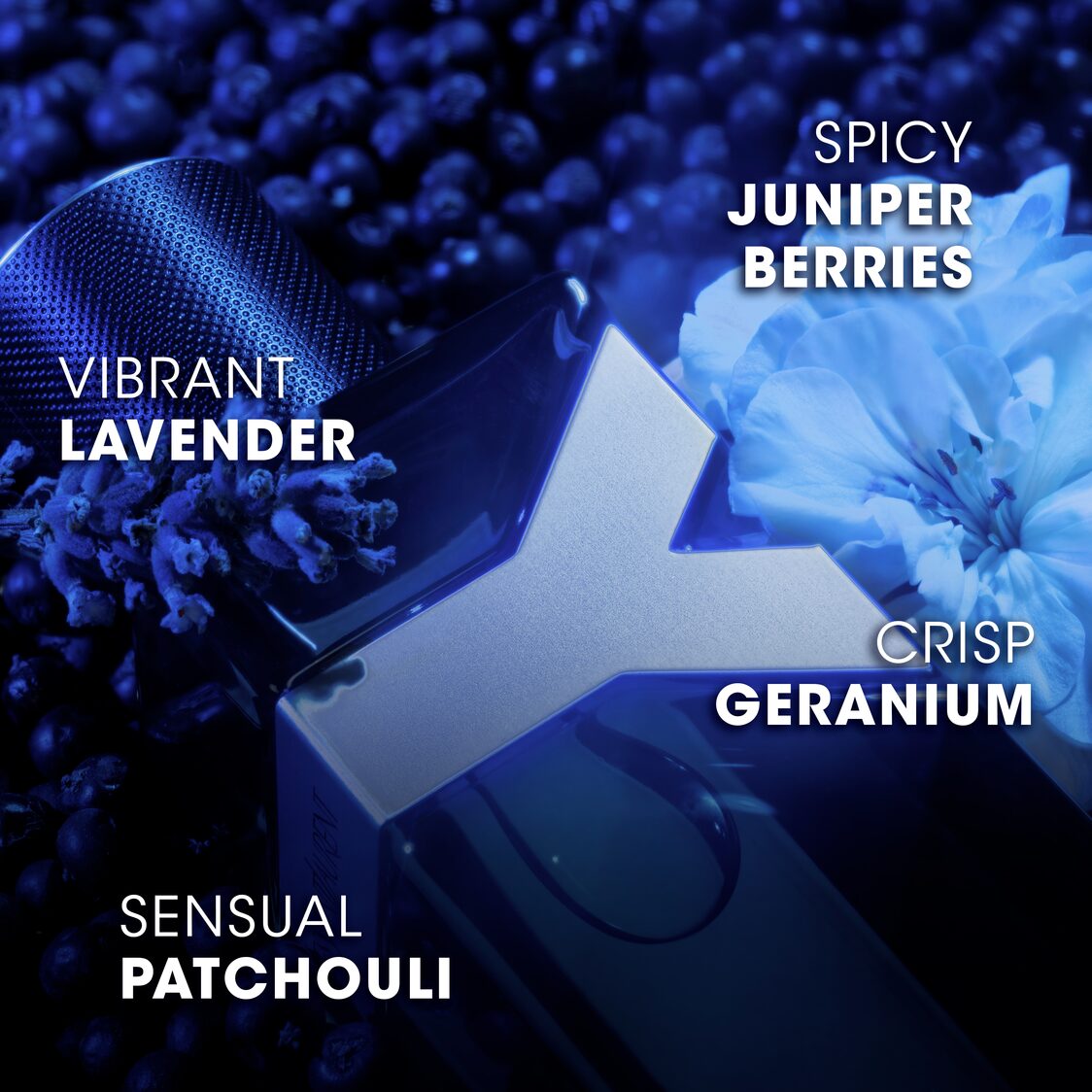 Yves Saint Laurent Y EDP Intense