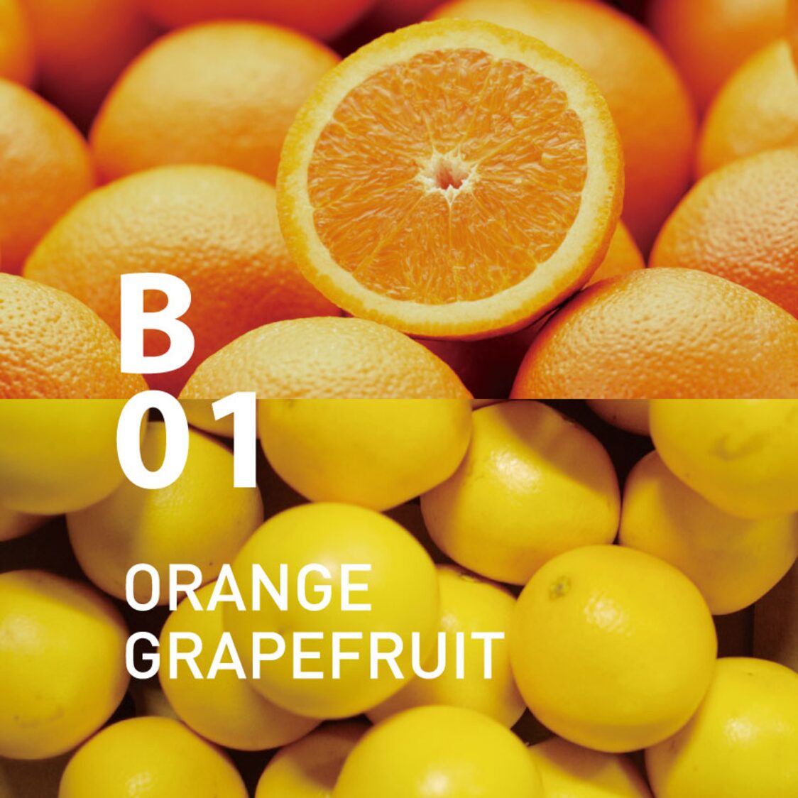 Ataroma B01 Orange Grapefruit