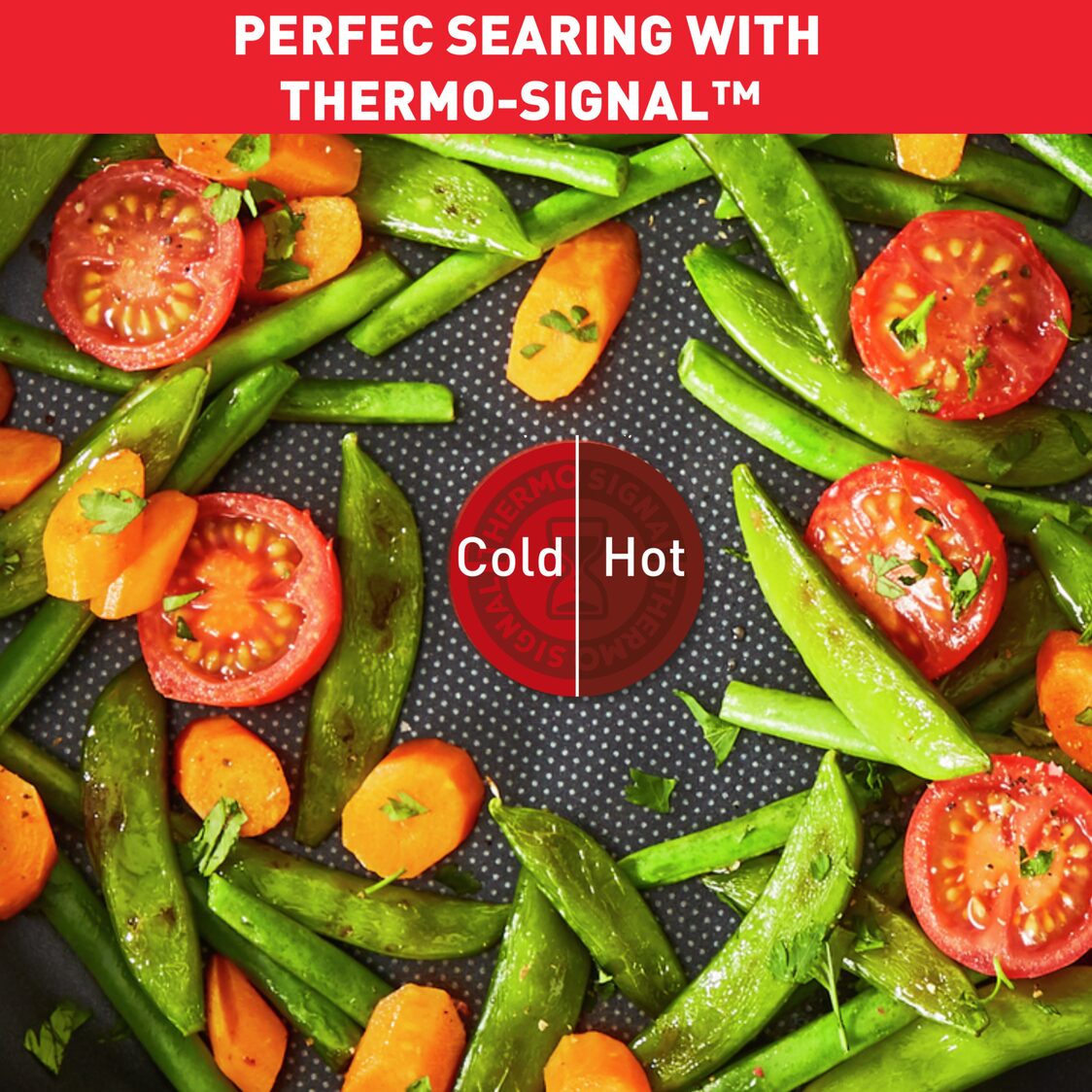 Tefal Red Delight IH Red Surprise 2PC Cookware Set (G1712S2)