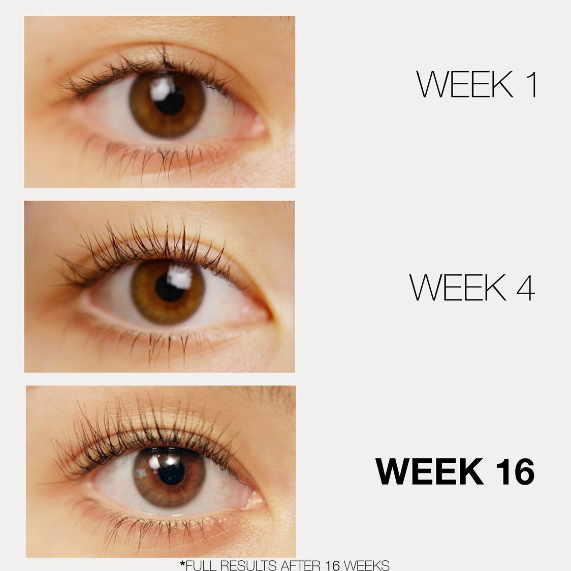 Lashfood Phyto-medic Eyelash Enhancing Serum 3ml