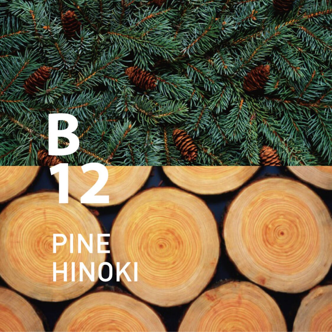 Ataroma B12 Pine Hinoki