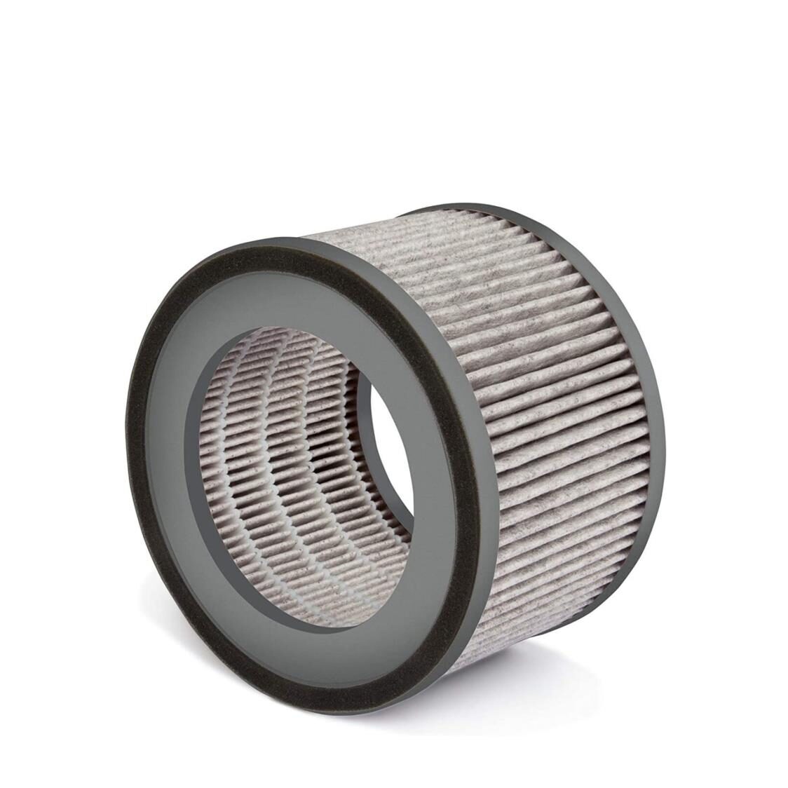 Soehnle Filter AirFresh Wash 300