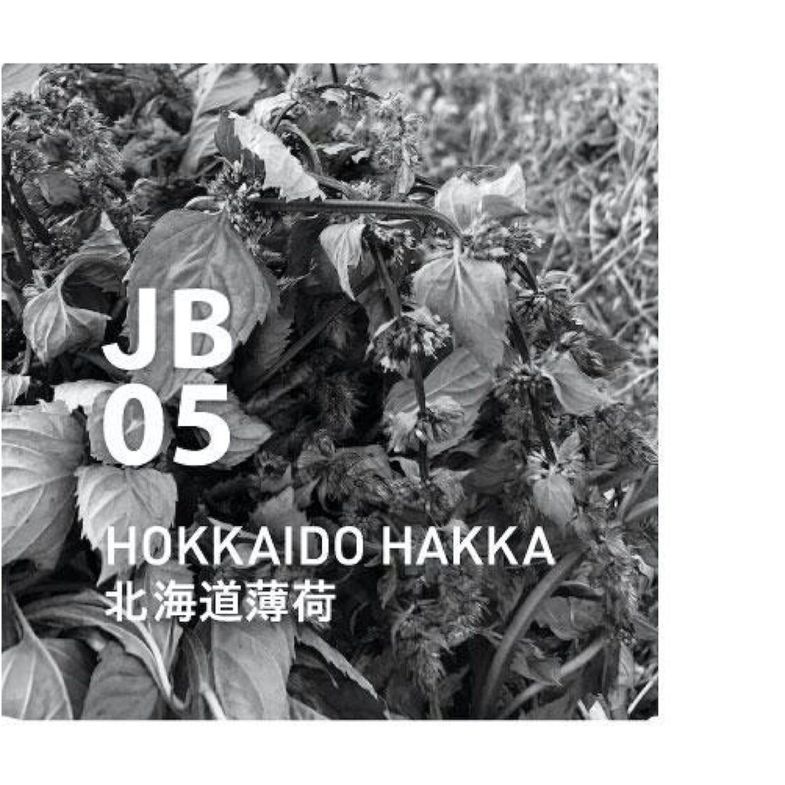 Ataroma JB05 Hokkaido Hakka