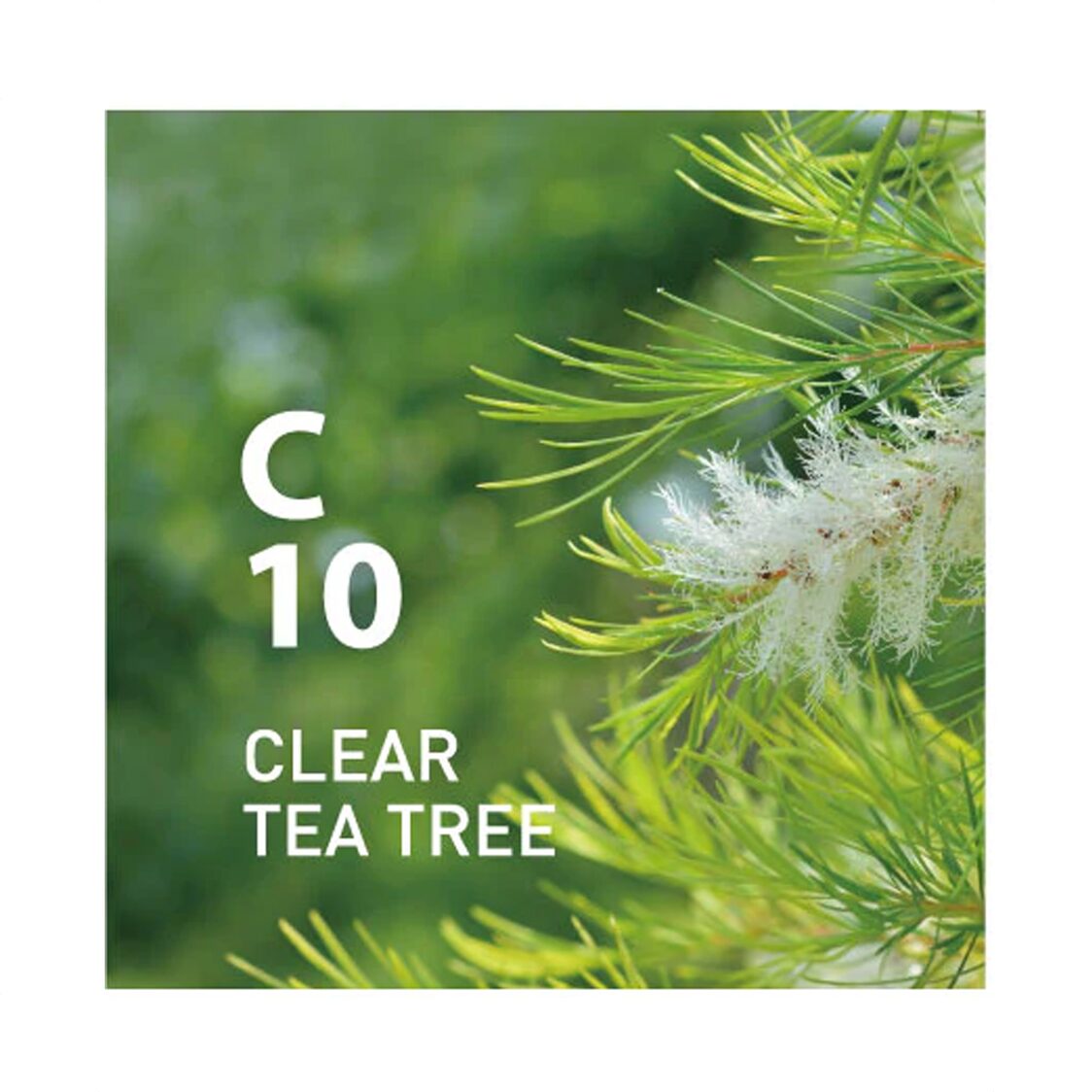 Ataroma C10 Clear Tea Tree