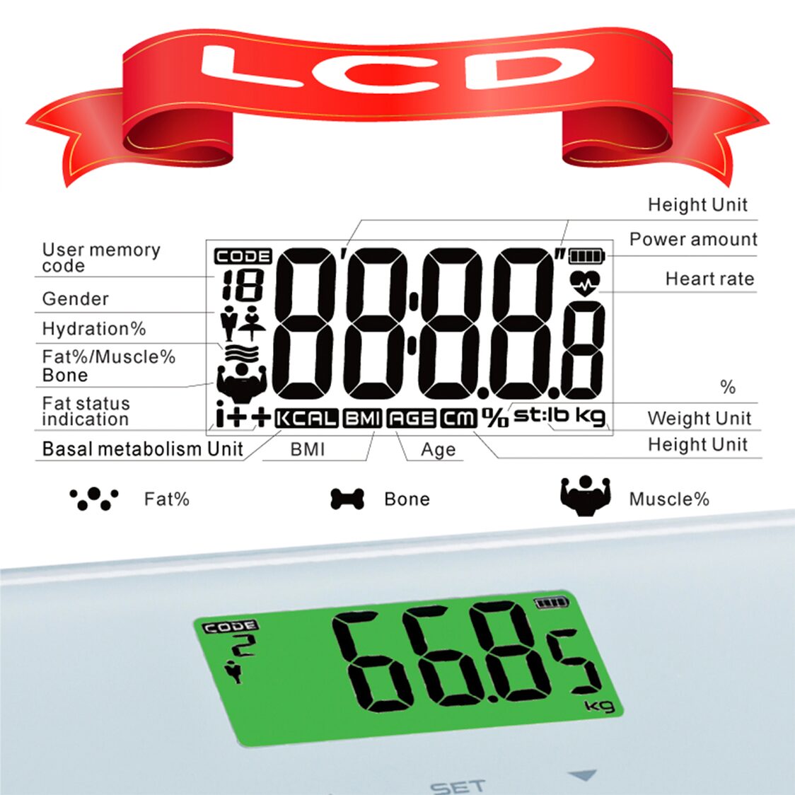 ENDO Digital High Precision Body Fat Analysis Scale (E-DBAS853)