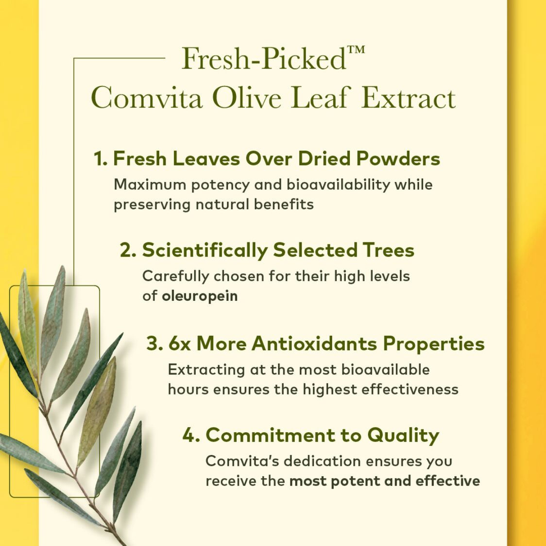 Comvita Olive Leaf Extract - Original Flavour 500ml