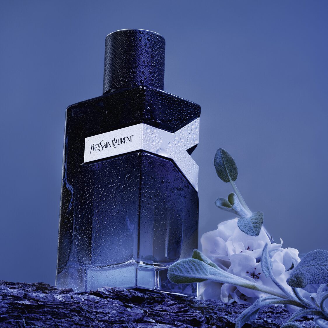 Yves Saint Laurent Y Men Eau de Parfum 100ml
